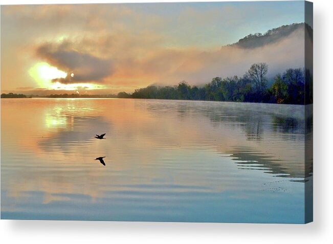 Sunrise In Winona Acrylic Print featuring the photograph Foggy Flight by Susie Loechler