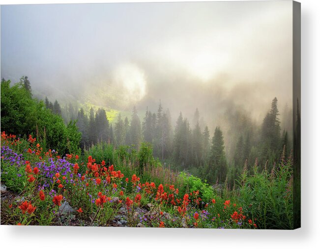 Fog Acrylic Print featuring the photograph Foggy Morning around Mount Rainier by Alex Mironyuk