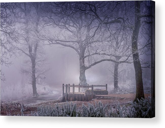 Landscape Acrylic Print featuring the photograph Foggy point of view by Chris Boulton