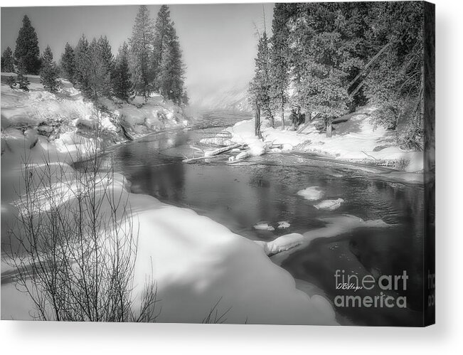 Nature Acrylic Print featuring the photograph Foggy Winter Artistry by DB Hayes