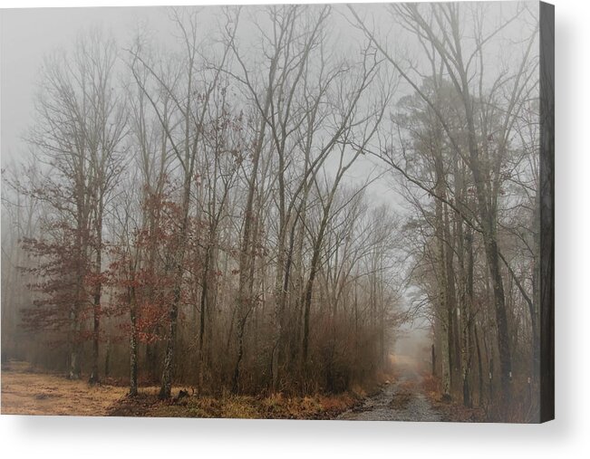 Tree Acrylic Print featuring the photograph Foggy Winter Morning by Elaine Malott