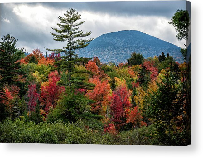 Foliage And Mountain Acrylic Print featuring the photograph Foliage and Mountain by Mark Papke