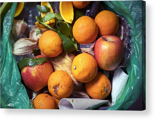 Environmental Damage Acrylic Print featuring the photograph Food waste problem, leftovers Thrown into into the trash can. Spoiled food in refuse bin. Spoiled oranges and apples close up. Ecological issues. Garbage. Concept of food waste reduction. From above. by SaskiaAcht