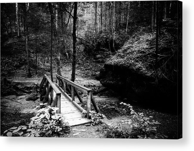 America Acrylic Print featuring the photograph Footbridge on a trail by Alexey Stiop