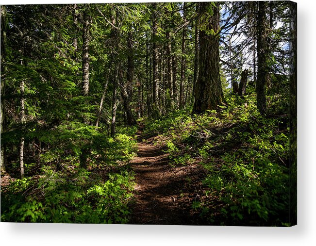 Walkway Acrylic Print featuring the photograph Footpath by Pelo Blanco Photo