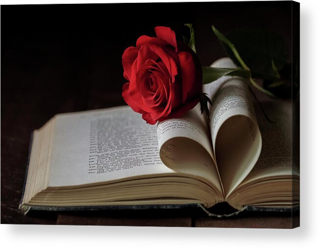 Rose Acrylic Print featuring the photograph For the Love of Reading by Holly Ross