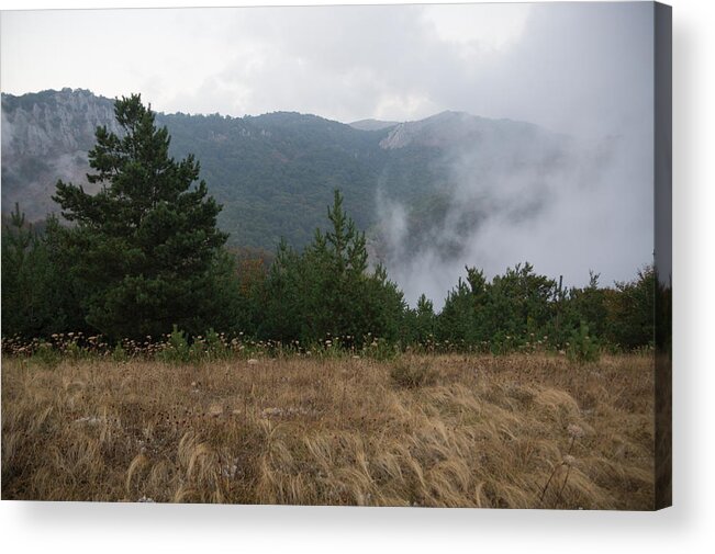 Scenics Acrylic Print featuring the photograph Forest glades in Haphalsky Nature Reserve, plants on grassy meadows in Crimean Mountains by Vyacheslav Argenberg
