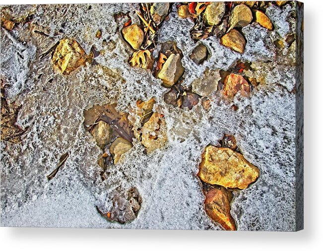 Stream Acrylic Print featuring the photograph Forest Still Life #5 by Loren Gilbert