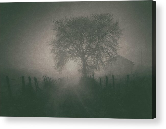 Fog Acrylic Print featuring the photograph Forgotten Landscapes by Mikel Martinez de Osaba