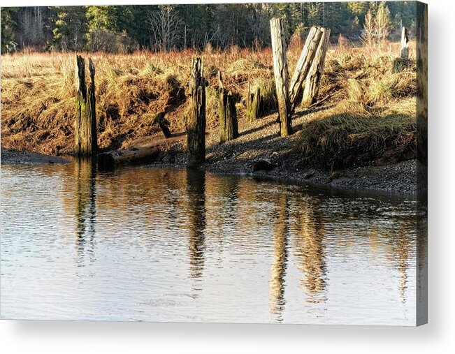 Colors Acrylic Print featuring the photograph Foulweather Posts by David Desautel