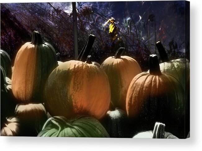 Yellow Acrylic Print featuring the photograph Four Painted Pumpkins by Wayne King