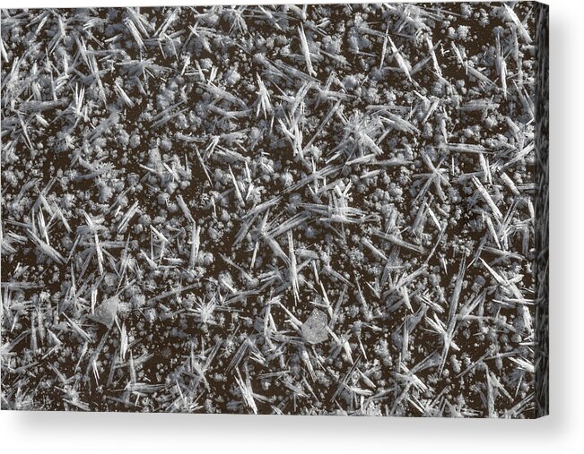 Frost Acrylic Print featuring the photograph Frost Pattern Background by Karen Rispin