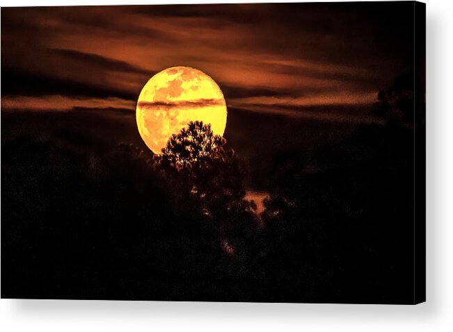 Snow Moon Acrylic Print featuring the photograph Full Snow Moon by Kevin Senter