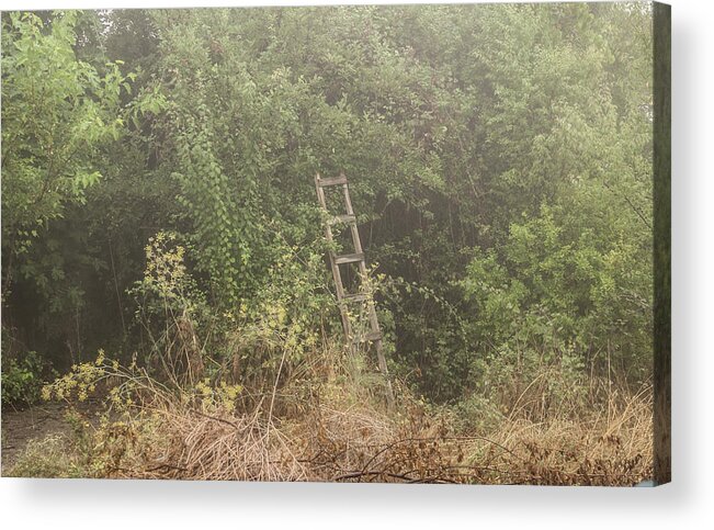 Europe Acrylic Print featuring the photograph Garden by Eleni Kouri