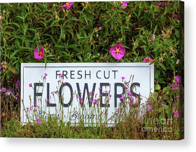 Flowers Acrylic Print featuring the photograph Garden flowers with fresh cut flower sign 0711 by Simon Bratt