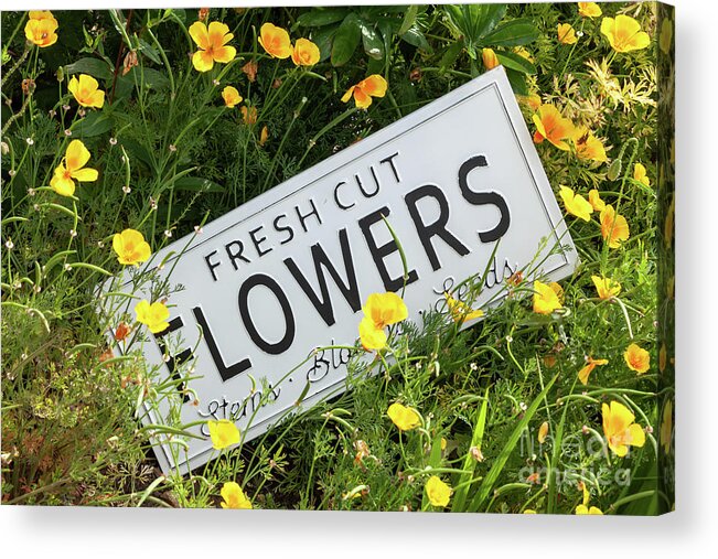 Flowers Acrylic Print featuring the photograph Garden flowers with fresh cut flower sign 0753 by Simon Bratt