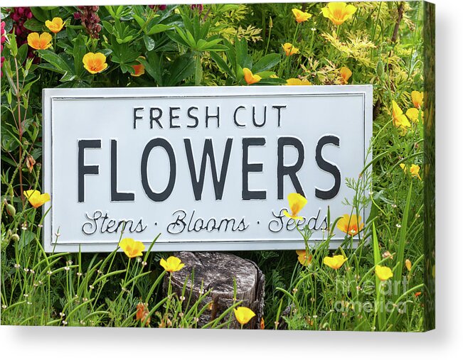 Flowers Acrylic Print featuring the photograph Garden flowers with fresh cut flower sign 0770 by Simon Bratt