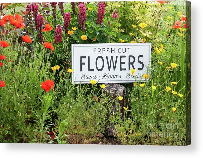 Arrangement Acrylic Print featuring the photograph Garden flowers with fresh cut flower sign 0771 by Simon Bratt