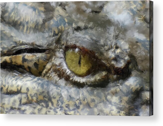 Alligator Acrylic Print featuring the painting Gater Watching by Gary Arnold