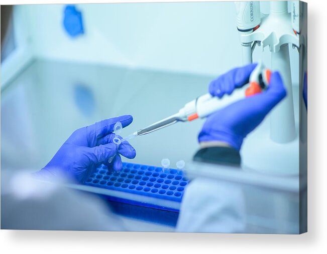 Medical Research Acrylic Print featuring the photograph Genetic test by Cristobal Marambio