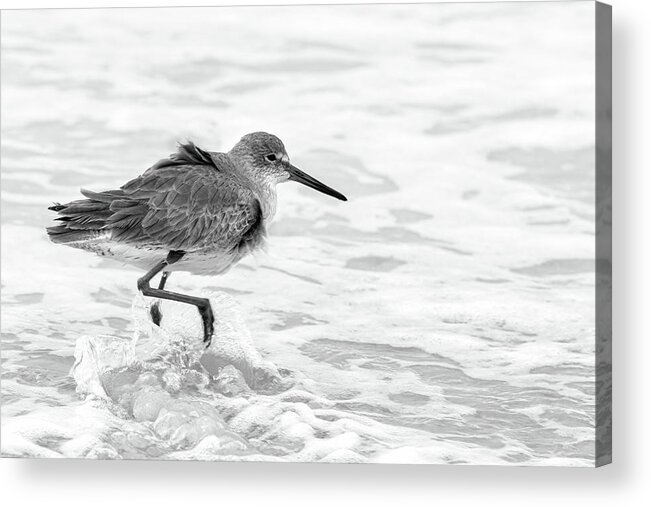 Daytona Beach Shores Acrylic Print featuring the photograph Getting my Feet Wet by Dawn Currie