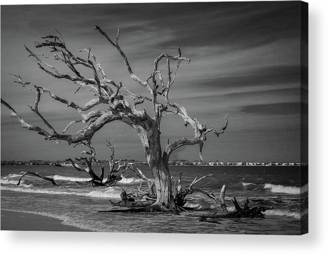 Monochrome Acrylic Print featuring the photograph Ghost Tree by Stephen Sloan