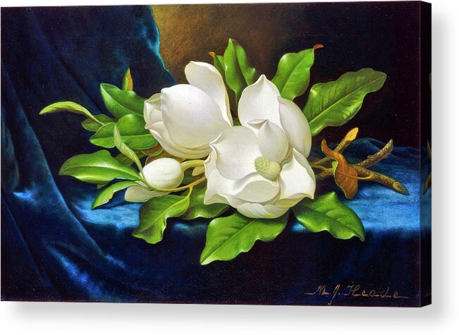 Magnolia Acrylic Print featuring the digital art Giant Magnolias by Long Shot