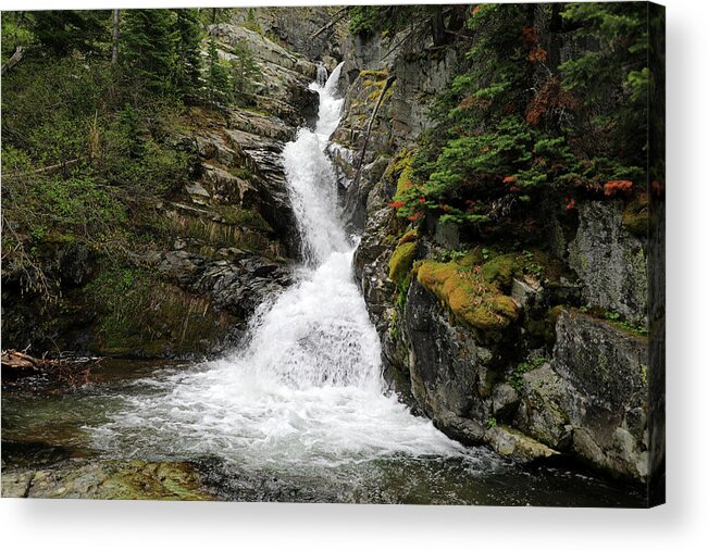 Aster Falls Acrylic Print featuring the photograph Glacier National Park - Aster Falls by Richard Krebs