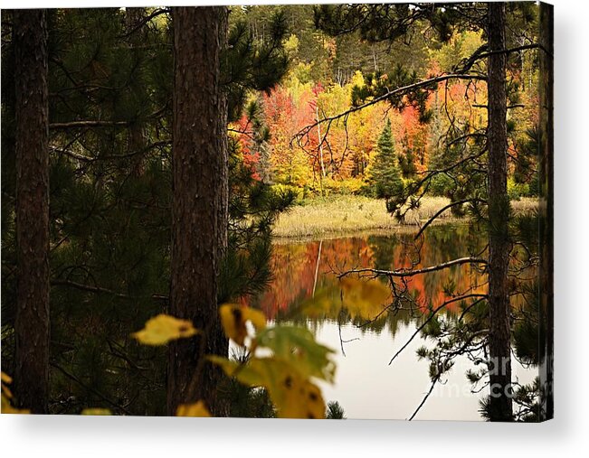 Landscape Acrylic Print featuring the photograph Glimpse of Autumn by Larry Ricker