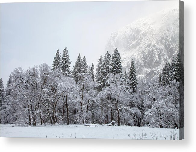 Landscape Acrylic Print featuring the photograph Glows by Jonathan Nguyen