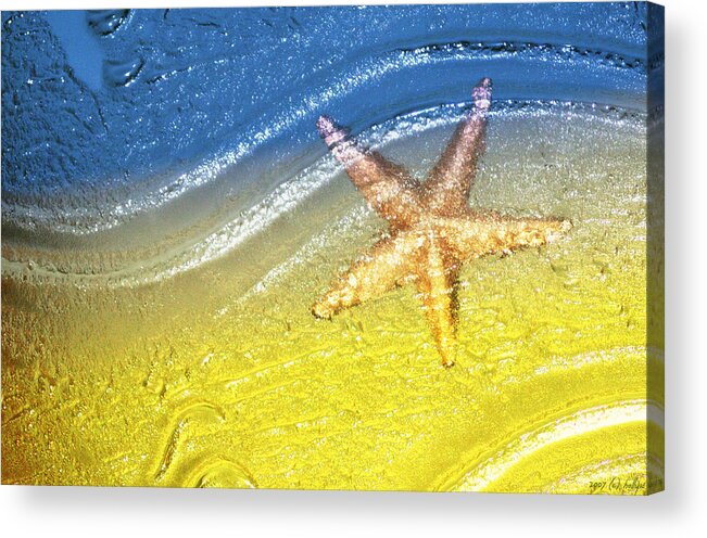 Starfish Acrylic Print featuring the photograph Going With the Flow by Holly Kempe