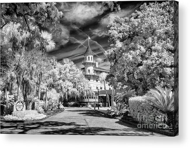 Golden Isles Acrylic Print featuring the photograph Golden Isles Artistic Work 101 by DB Hayes