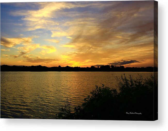 Sunset Acrylic Print featuring the photograph Golden Sunset by Mary Walchuck
