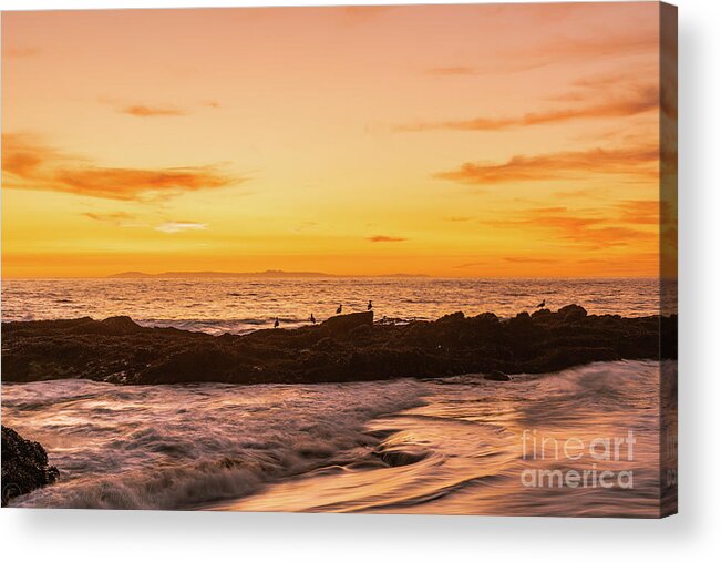 Sunset Acrylic Print featuring the photograph Golden Sunset Seascape California by Abigail Diane Photography