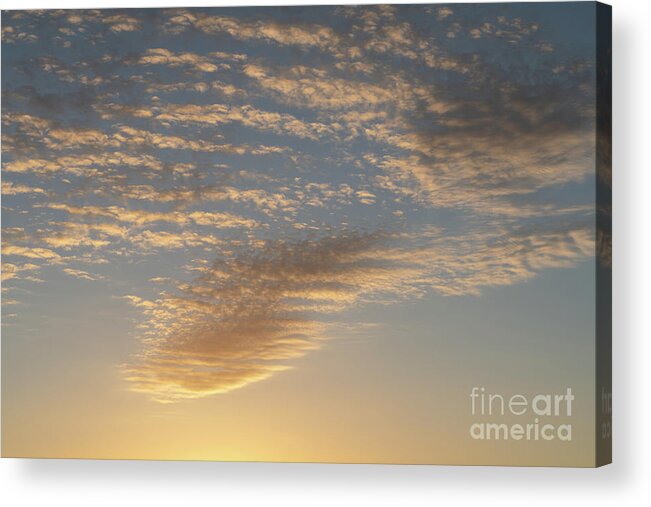 Clouds Acrylic Print featuring the photograph Golden yellow and soft clouds at sunrise. Air meets sunlight by Adriana Mueller