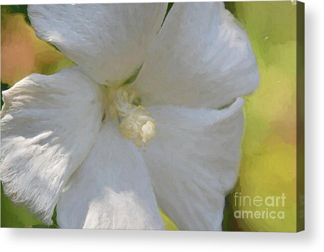 Hibiscus Acrylic Print featuring the photograph Good Fortune Shining by Diana Mary Sharpton