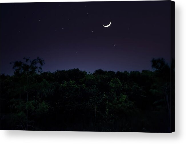 Everglades Acrylic Print featuring the photograph Goodnight Everglades by Mark Andrew Thomas