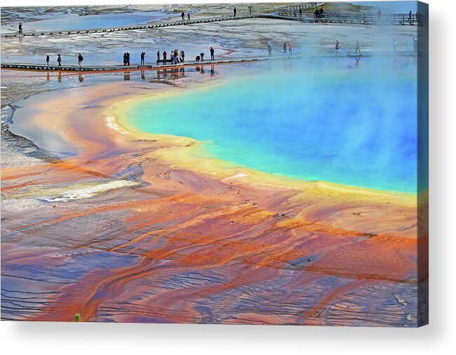 Grand Prismatic Spring Acrylic Print featuring the photograph Grand Prismatic Spring in Yellowstone by Shixing Wen