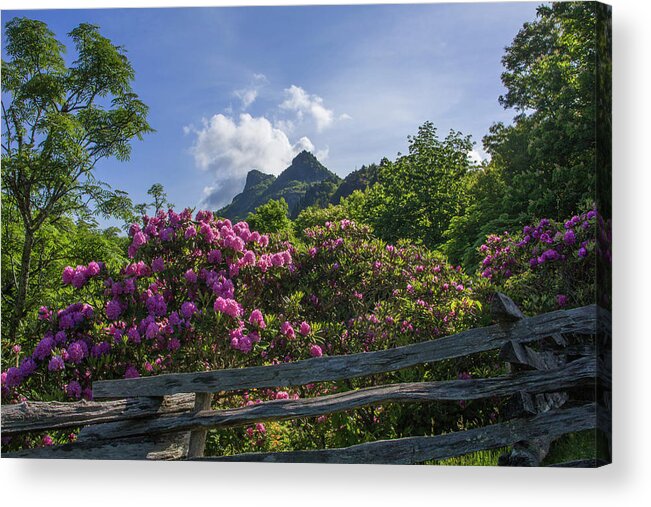 Grandfather Acrylic Print featuring the photograph Grandfather Mountain by White Mountain Images