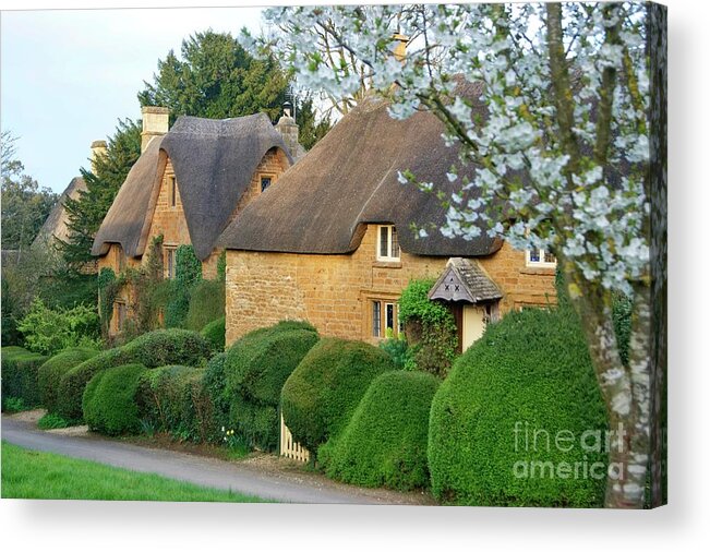 Great Tew Acrylic Print featuring the photograph Great Tew thatch and blossom. by David Birchall