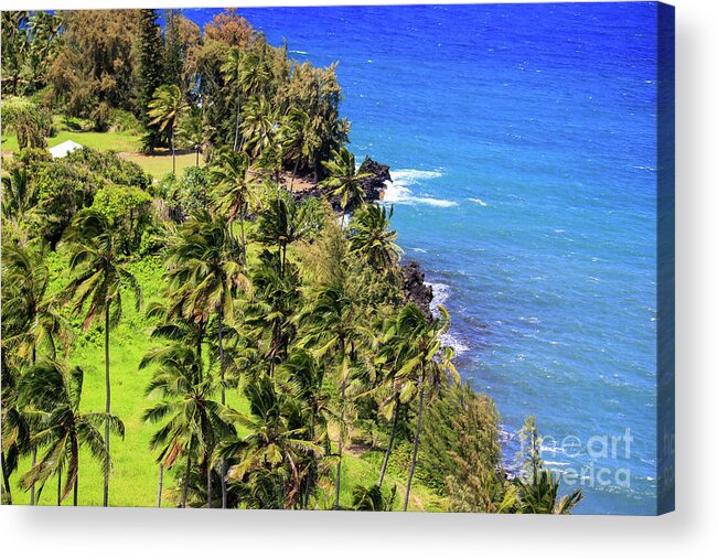 Maui Acrylic Print featuring the photograph Green and Blue by Wilko van de Kamp Fine Photo Art