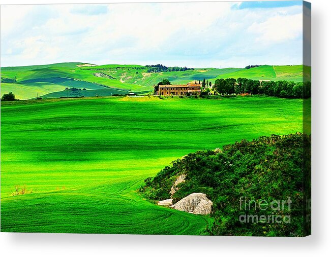 Tuscany Acrylic Print featuring the photograph Green escape in Tuscany by Ramona Matei
