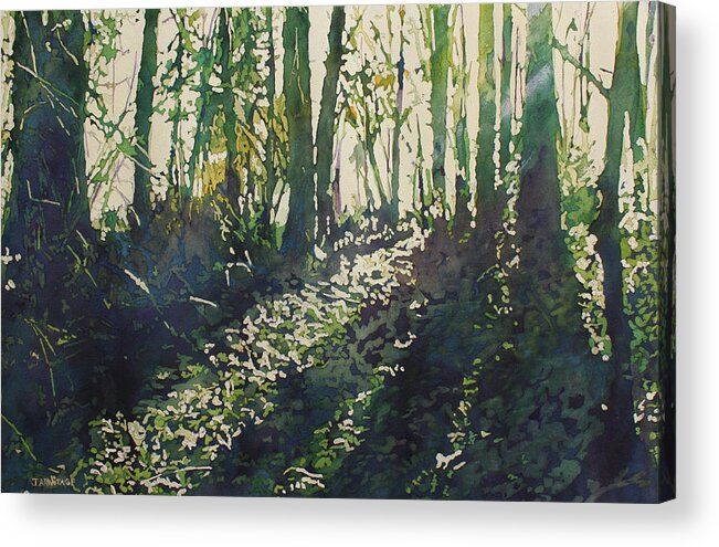 Forest Acrylic Print featuring the painting Green Light by Jenny Armitage