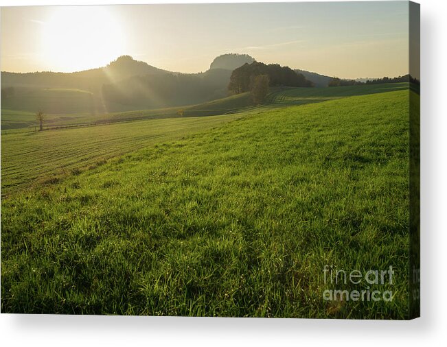 Sunlight Acrylic Print featuring the photograph Green meadow and golden light 1 by Adriana Mueller