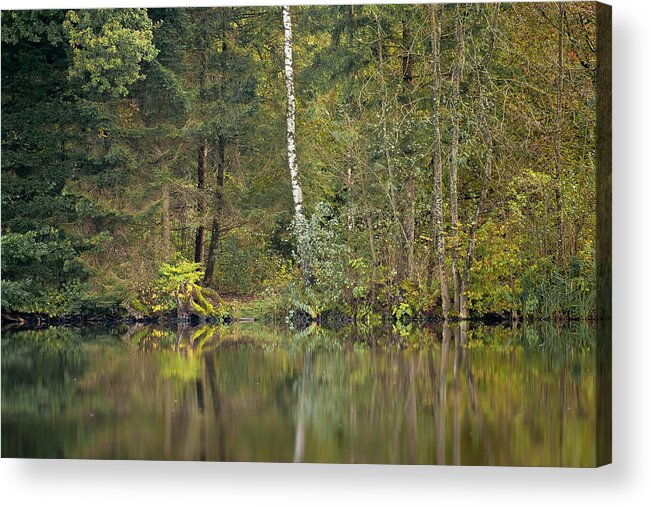 Landscape Acrylic Print featuring the photograph Green Window by Alexander Kunz
