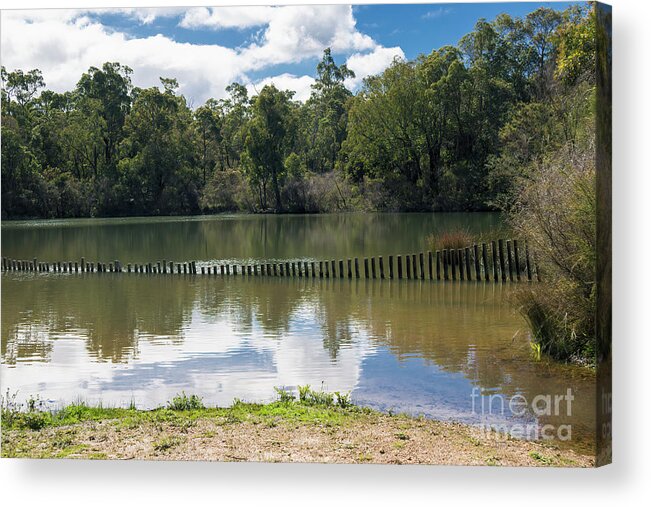 Nature Reserve Acrylic Print featuring the photograph Greenbushes Pool, Western Australia by Elaine Teague