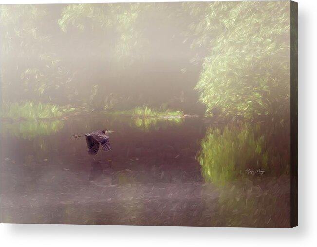 Heron Acrylic Print featuring the photograph Grey Heron Across the Water by Marjorie Whitley