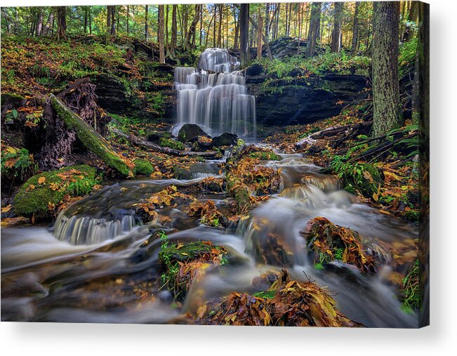 Gunn Brook Falls Acrylic Print featuring the photograph Gunn Brook Falls in October by Kristen Wilkinson