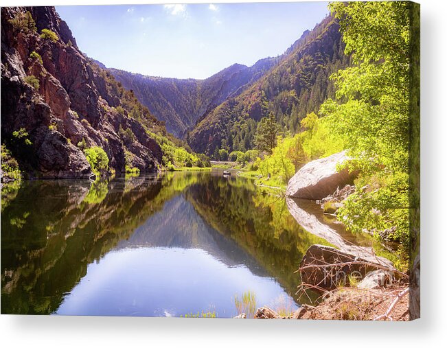Reflection Acrylic Print featuring the photograph Gunnison River Serenity by Courtney Eggers