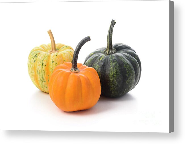 Pumpkin Acrylic Print featuring the photograph Halloween pumpkins by Jelena Jovanovic